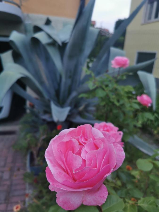 Grandma'S Garden House Angera Exterior foto